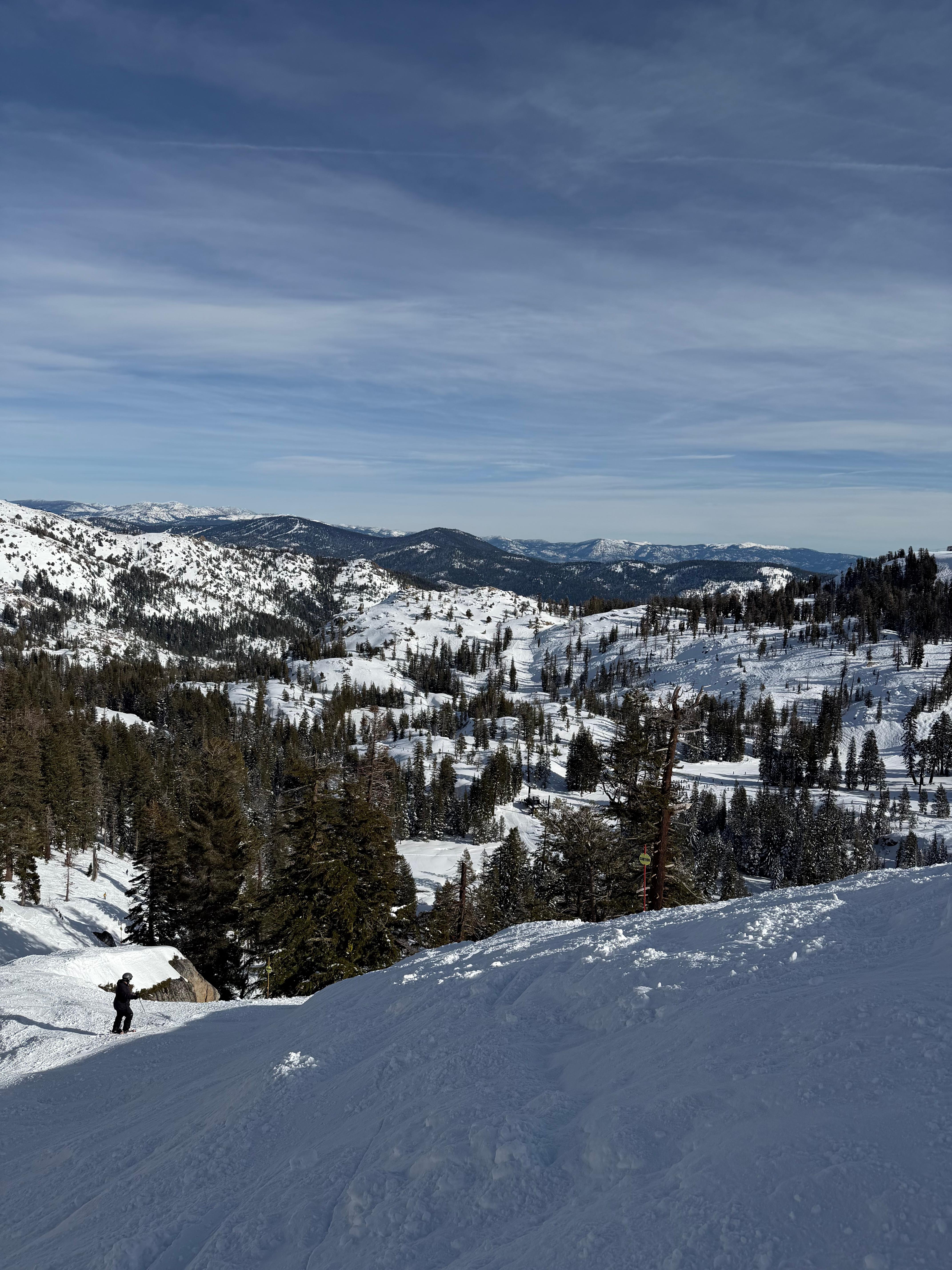 Panoramic mountain view from ski slope with pine trees and skier